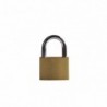 Candado bronce (formato blister)