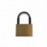 Candado bronce (formato blister)
