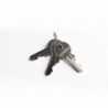 Candado bronce Endurecido (formato blister)