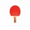 Paleta P.P. Master Lapicer 2 Estrellas