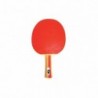 Paleta P.P. Master Clasica 2 Estrellas