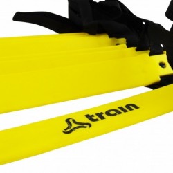ESCALA DE ENTRENAMIENTO TRAIN
