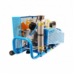 Compresor Eléctrico Pcp