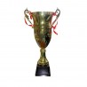 Copa Dorada 2008