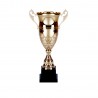 Copa Dorada 2004