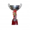 Copa Plateada 702