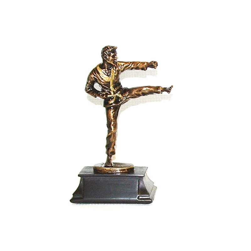 TROFEO ARTES MARCIALES