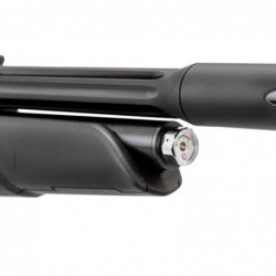 RIFLE ARROW MAGNUM PCP RESINA 5,5MM (.22)