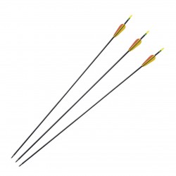 Blister 3 Flechas Fibra De Vidrio 26"