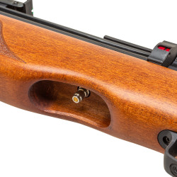 RIFLE GAMO PCP MADERA RISER 5,5MM (.22)