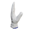 GUANTE CABRITILLA SUPERVISOR SIN FORRO