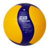 BALÓN OFICIAL VOLEIBOL MIKASA V200W