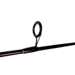 CAÑA DE PESCA LAGO LLANQUIHUE  2 TRAMOS EAGLE CLAW