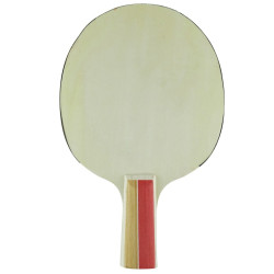 Paleta Ping Pong Master Lapicer 2 estrellas Uk Time