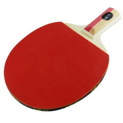 Paleta Ping Pong Master Lapicer 2 estrellas Uk Time