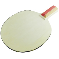 Paleta Ping Pong Master Lapicer 2 estrellas Uk Time