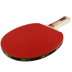Paleta Ping Pong Master Clasica 2 Estrellas UkTime