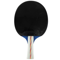 Paleta Ping Pong Ultra Clásica 4 Estrellas Uk Time