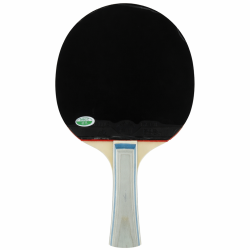 Paleta Ping Pong 5 estrellas Uk Time