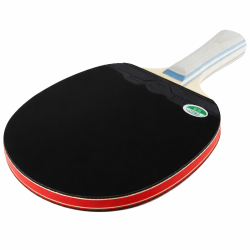 Paleta Ping Pong 5 estrellas Uk Time