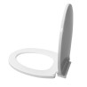 ASIENTO WC CIERRE SUAVE NATURE GRIFIX