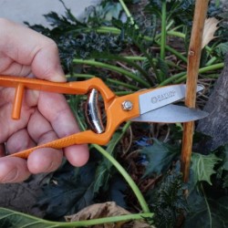 Tijera Forjada De Cosecha 7,5” Microdentada Rayün