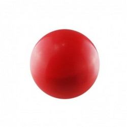 Balón Medicinal 5kg Rojo GMB